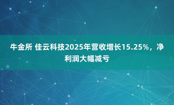 牛金所 佳云科技2025年营收增长15.25%，净利润大幅减亏