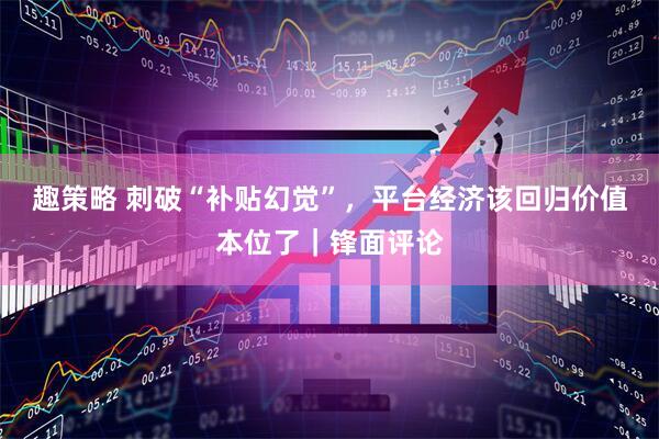 趣策略 刺破“补贴幻觉”，平台经济该回归价值本位了｜锋面评论